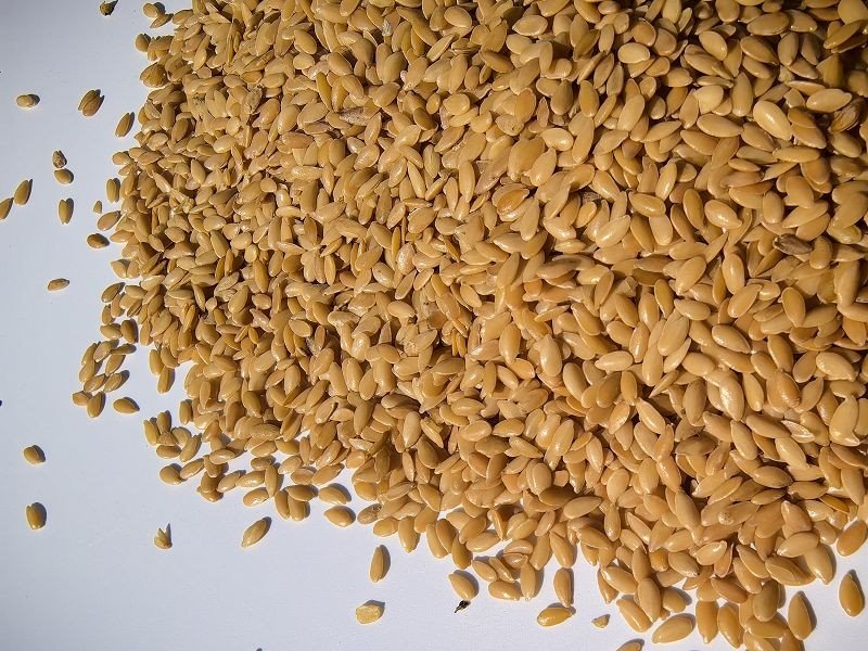 Yellow Linseed factory